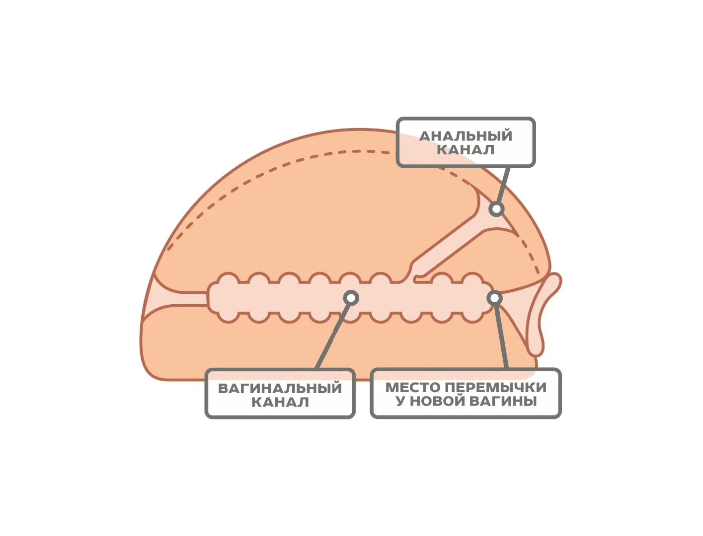 мастурбатор для мужчин 659401ru в Севастополе