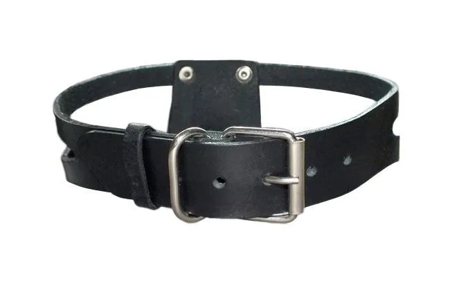 ошейник с трискелем подиум птичка, чёрный в Севастополе