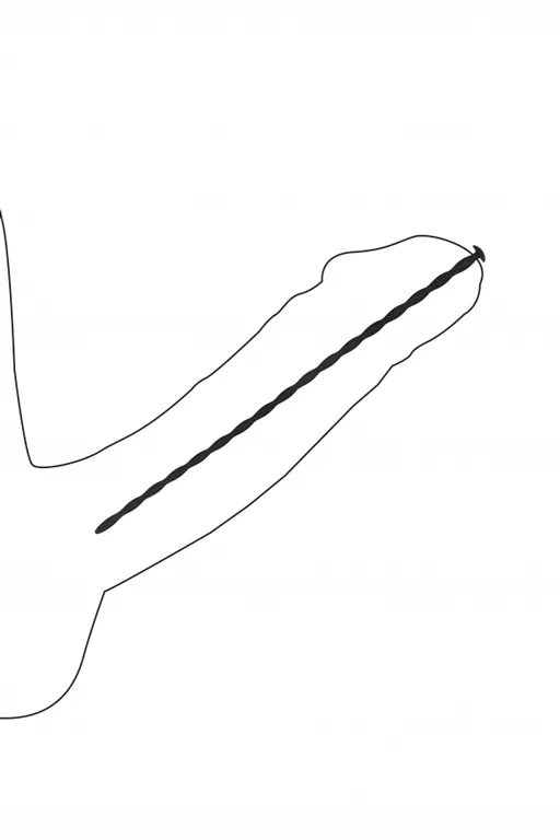 набор из четырех стимуляторов уретры (струн) spiral screw plug set в Севастополе